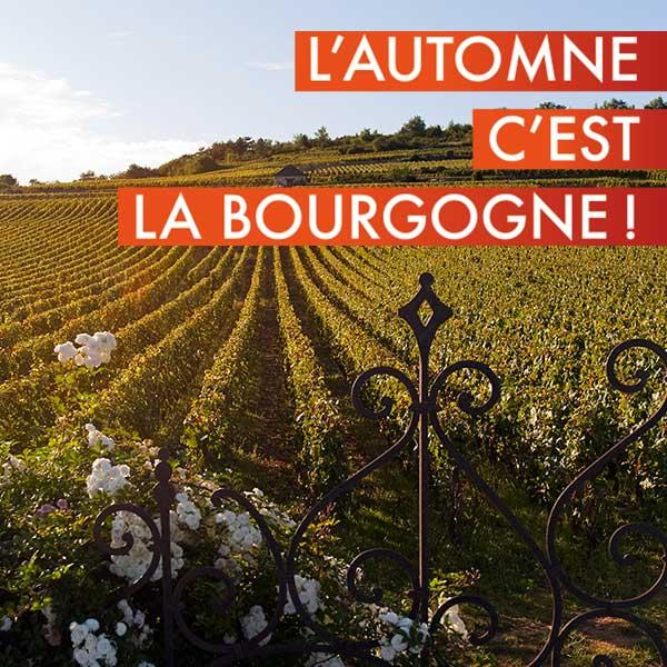 L'Automne c'est la Bourgogne